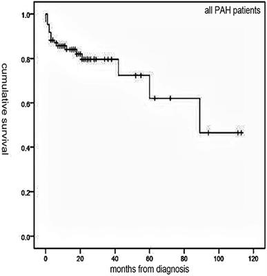 Idiopathic Pulmonary Arterial Hypertension and Pulmonary Arterial Hypertension Associated With Congenital Heart Disease in Chinese Children: Similarities, Differences, and Prognostic Factors